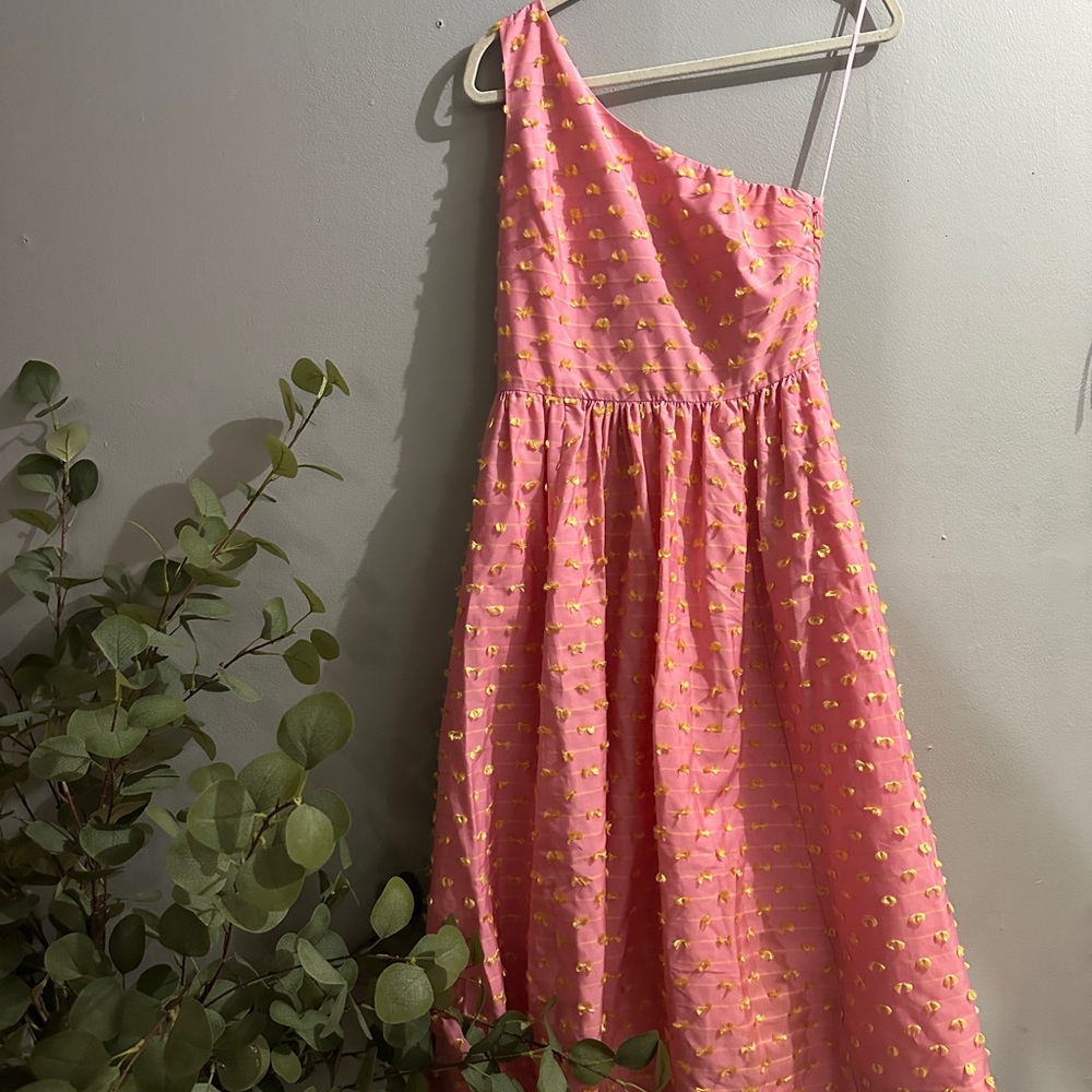 J Crew taffeta dress with eyelash fringe with pockets! Gorgeous dress!